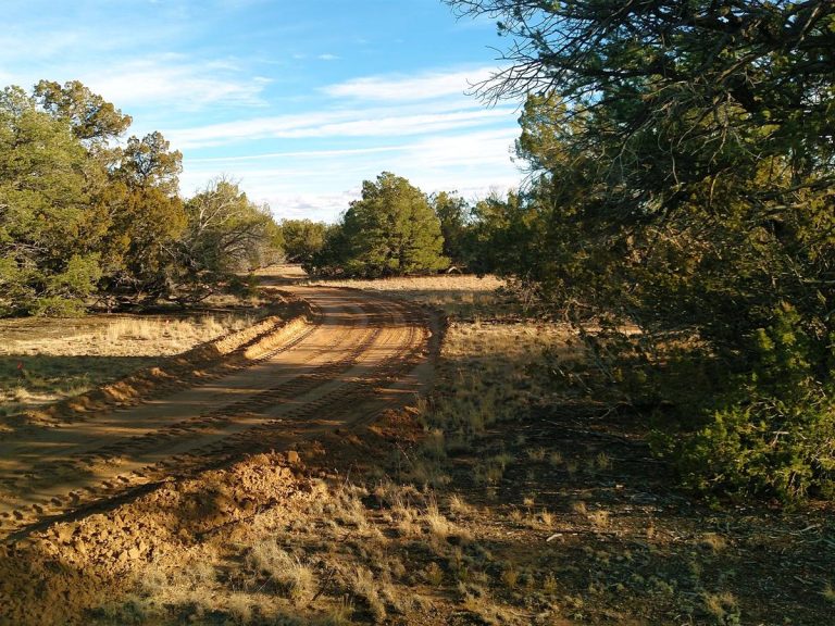 Farm or Ranch